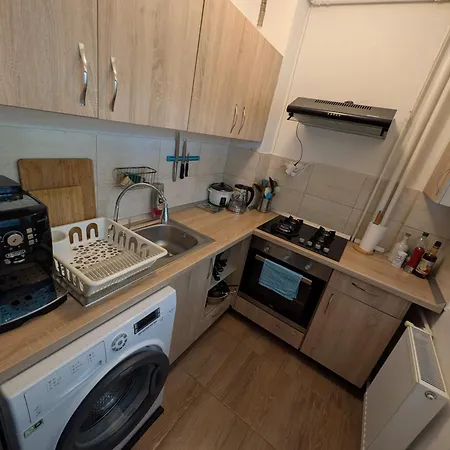 Cosy Parkside Close To The Metro Station Bucharest